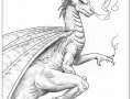 a_1219259847639_drh-smokingdragon.jpg